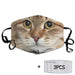 Beautiful Siberian Cat Breeds Cloth Face Mask 1617560935020.jpg