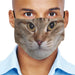 Beautiful Siberian Cat Breeds Cloth Face Mask 1617560936045.jpg