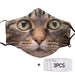 Funny Face Cat Cloth Face Mask 1617560937243.jpg