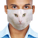 Beautiful Turkish Angora Cat Breeds Cloth Face Mask 1617560992114.jpg