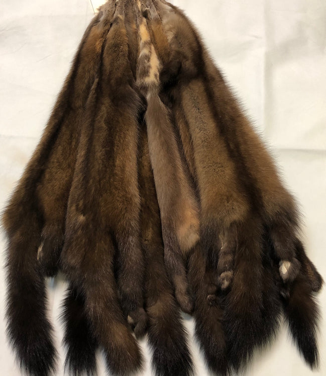 Furs Seal Skins Rugs Hood Ruffs Pelts Foxes Coyotes Cow Bear