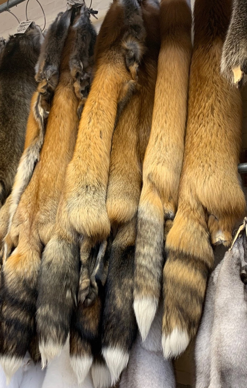 red fox fur