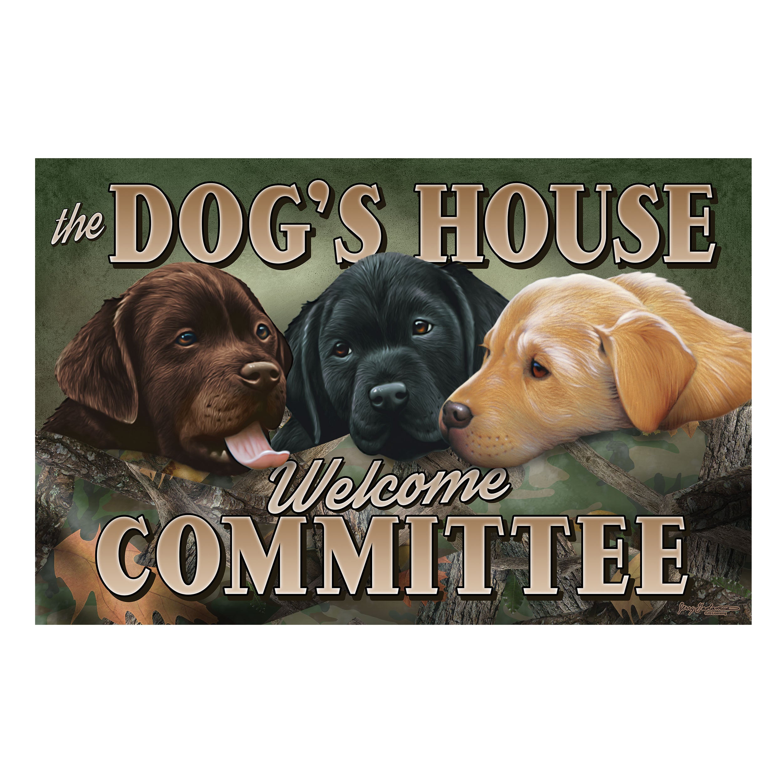 dog house mat