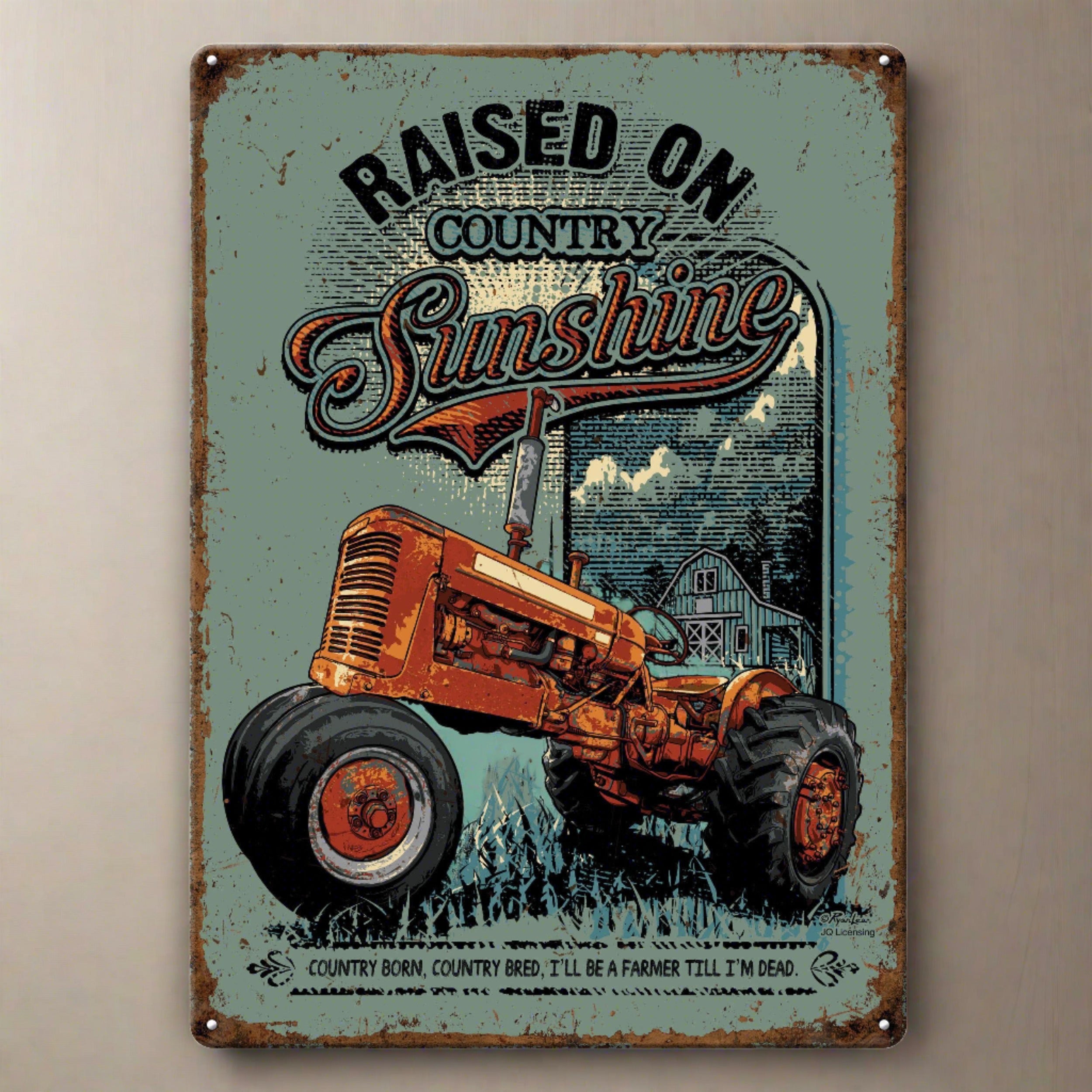 Metal Tin Signs Funny Vintage Personalized 12 Inch X 17 Inch Raised On Sunshine 6961