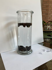 Seed Float or Sink Test