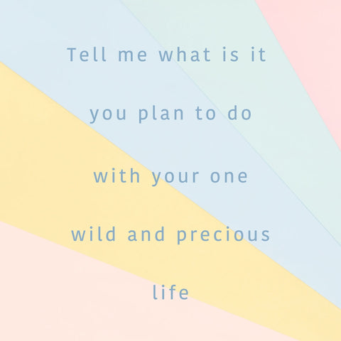 Tell me what is it you plan to do with your one wild and precious life quote on rainbow background