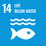 UN SDG 13 Life Below Water