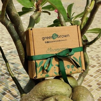 DIY Microgreens Kit by Green & Brown | Brown Living