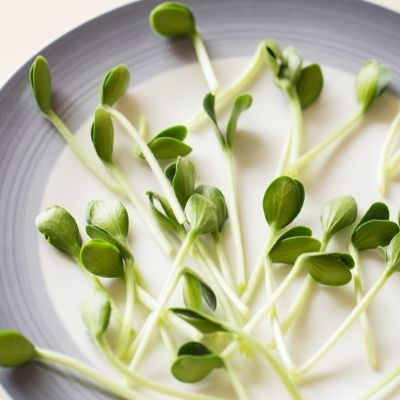 Microgreens | A complete guide by Brown Living