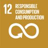 UNDP Sustainable Development Goal # 12 Responsible Consumption & Production