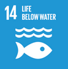 UNDP Sustainable Development Goal # 14 Life Below Water