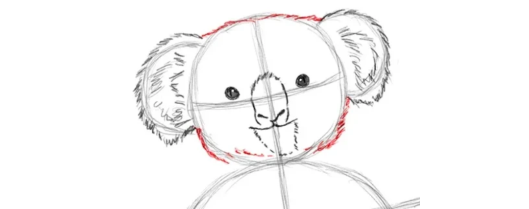 dessin koala fourrure tête