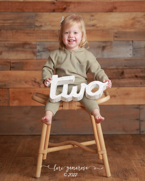 One Sign Number 1 Baby Photo Prop for First Birthday Babies Photography  Prop Birthday Photo Shoot Prop Wooden Number Sign