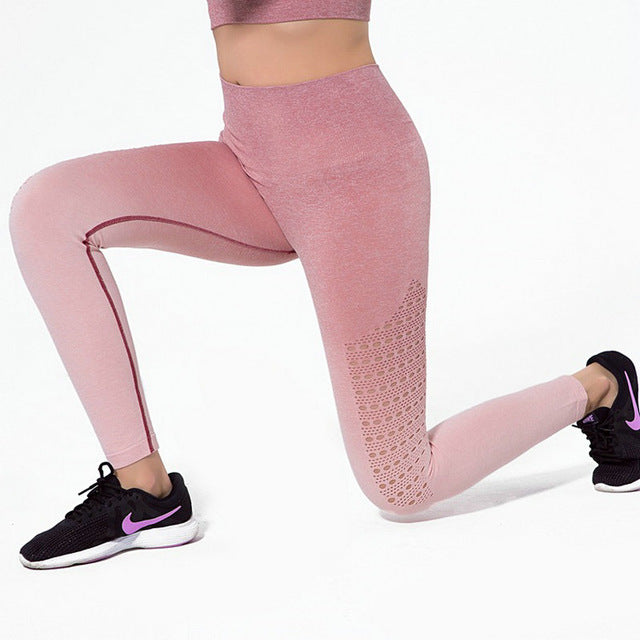 gym legging shop