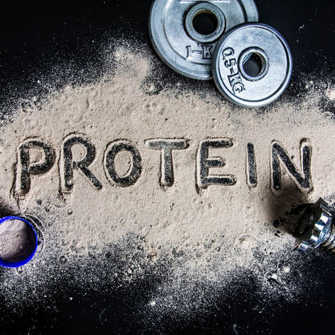 Protein supplements and weights show that protein whey powders cannot replace natural protein-rich food