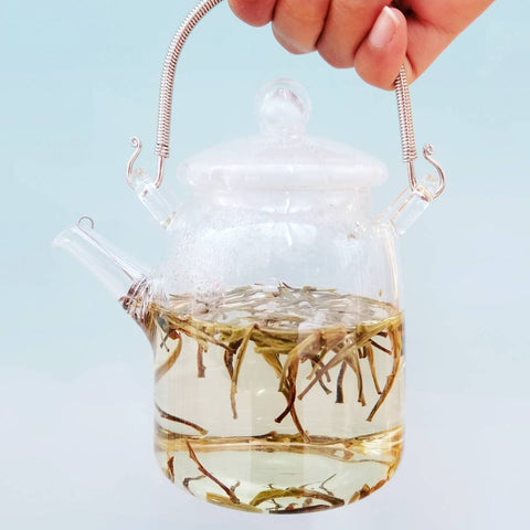 Mini Glass Teapot – Teawala