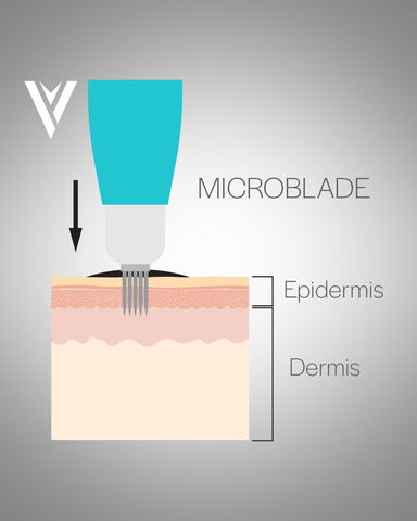Microblade Dermis Diagram