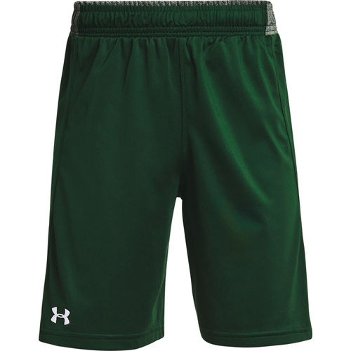 Under Armour Women's 1351243 Compression Shorts, Large 