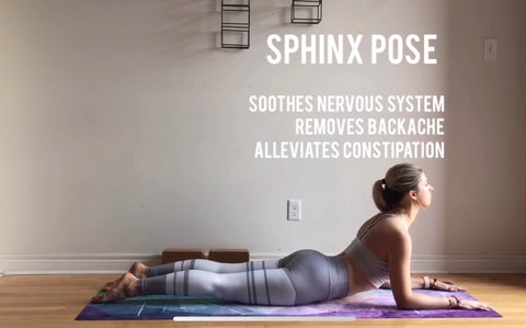 Sphinx pose - Salamba Bhujangasana