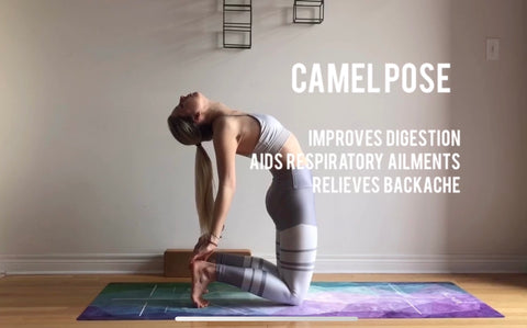 Camel Pose — Ustrasana