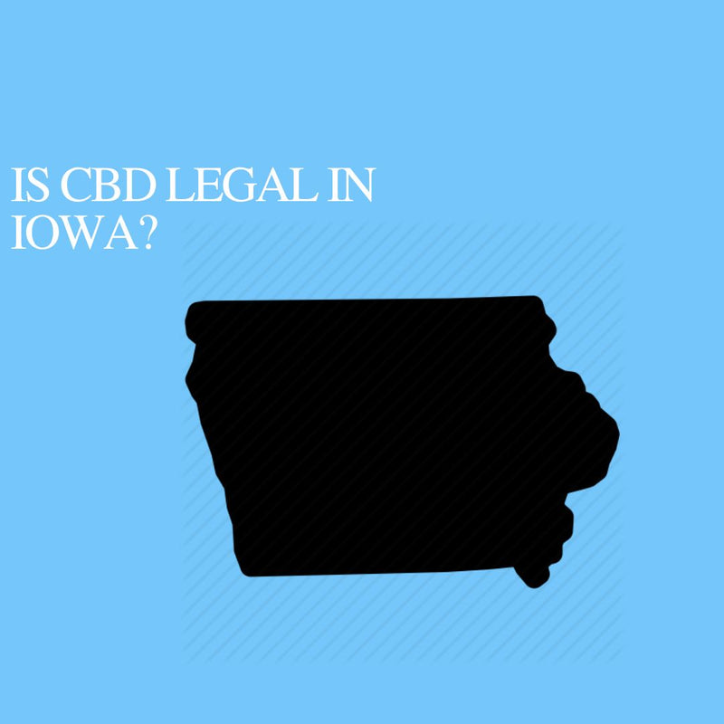 Is CBD Oil Legal in Iowa: Where to buy CBD Near Me ...