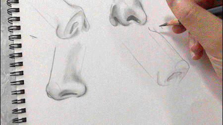 Featured image of post How To Draw A Nose From The Left Side : We go over drawing the structure without shading and how to develop an understanding of drawing the nose from a variety of angles.