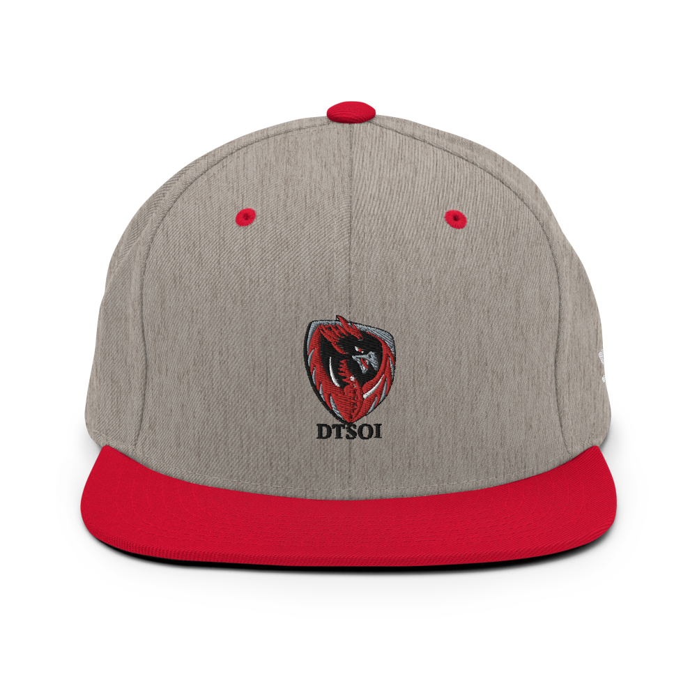 
                  
                    Don Tyson SOI - Snapback Hat
                  
                