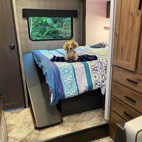 Daphné le Teckel est assise sur le lit d'un camping-car avec sa rampe de lit à côté d'elle