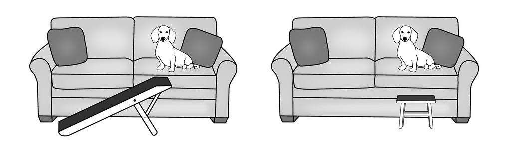 Rampa para perros versus taburete para perros para el sofá