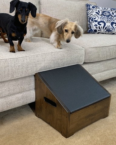 Un perro salchicha color crema de pelo largo baja del sofá usando su DoggoRamps StepRamp: un combo de rampa y escalón para perros