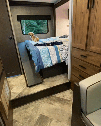 Un teckel descend la rampe de son lit pour chiens dans un camping-car