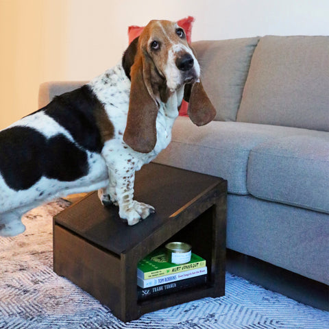 Un Basset Hound adulto se encuentra en su StepRamp DoggoRamps