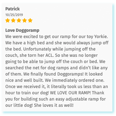 Revisión de 5 estrellas de la rampa para cama pequeña DoggoRamps de un propietario de Yorkie