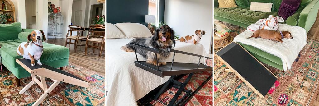 Dachshunds enjoying their DoggoRamps Dog Ramps