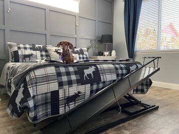 Oreo el perro salchicha se sienta en la cama con su DoggoRamp frente a él