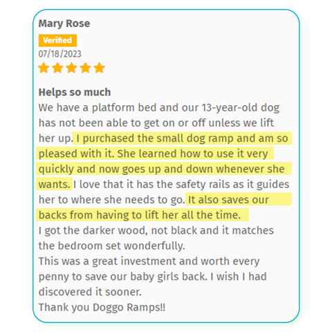 5 out of 5 Star DoggoRamps Review