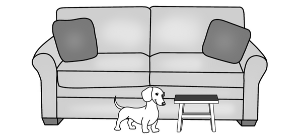 Perro salchicha con taburete para perro para el sofá