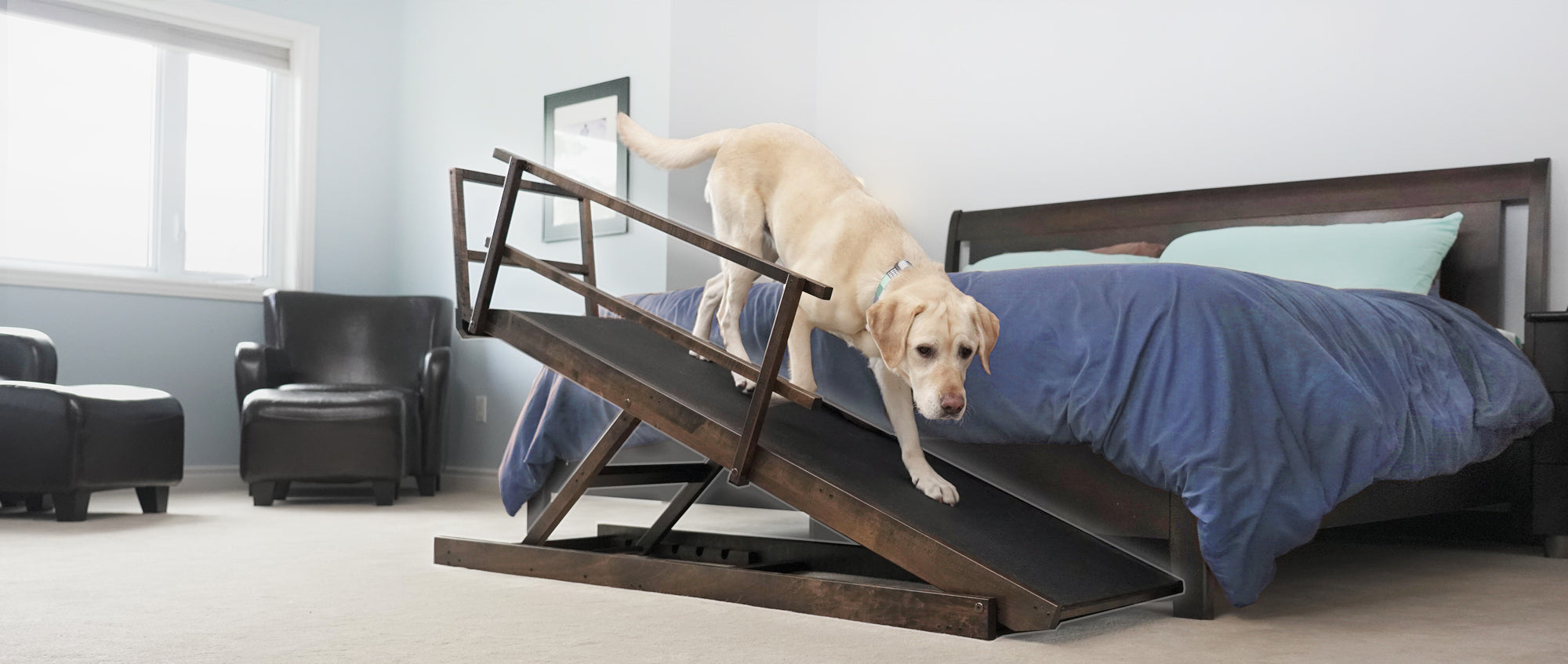 stairs for dogs to get on bed