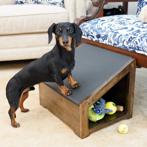 Crusoe the Celebrity Dachshund stands with his front paws on his DoggoRamps StepRamp beside a chaise. 