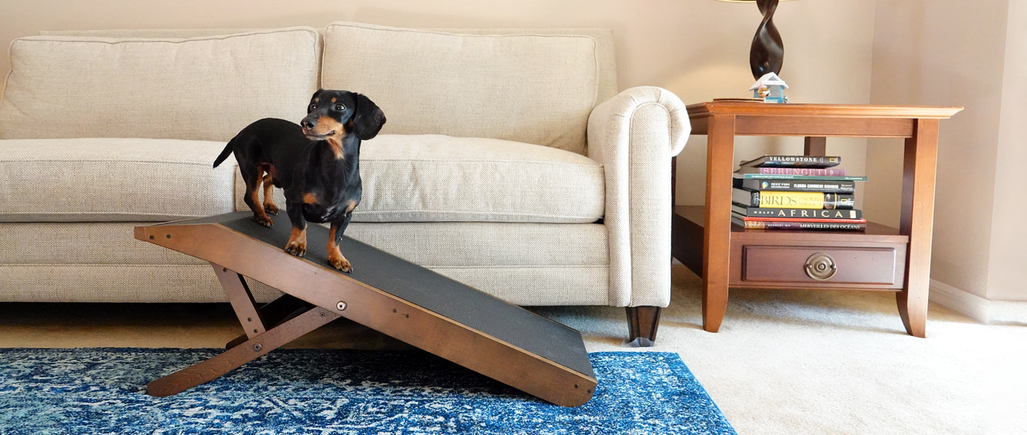 Walnut Stain Dog Ramp For Sofa 2048x ?v=1618450549