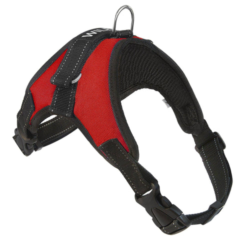 easy dog harness