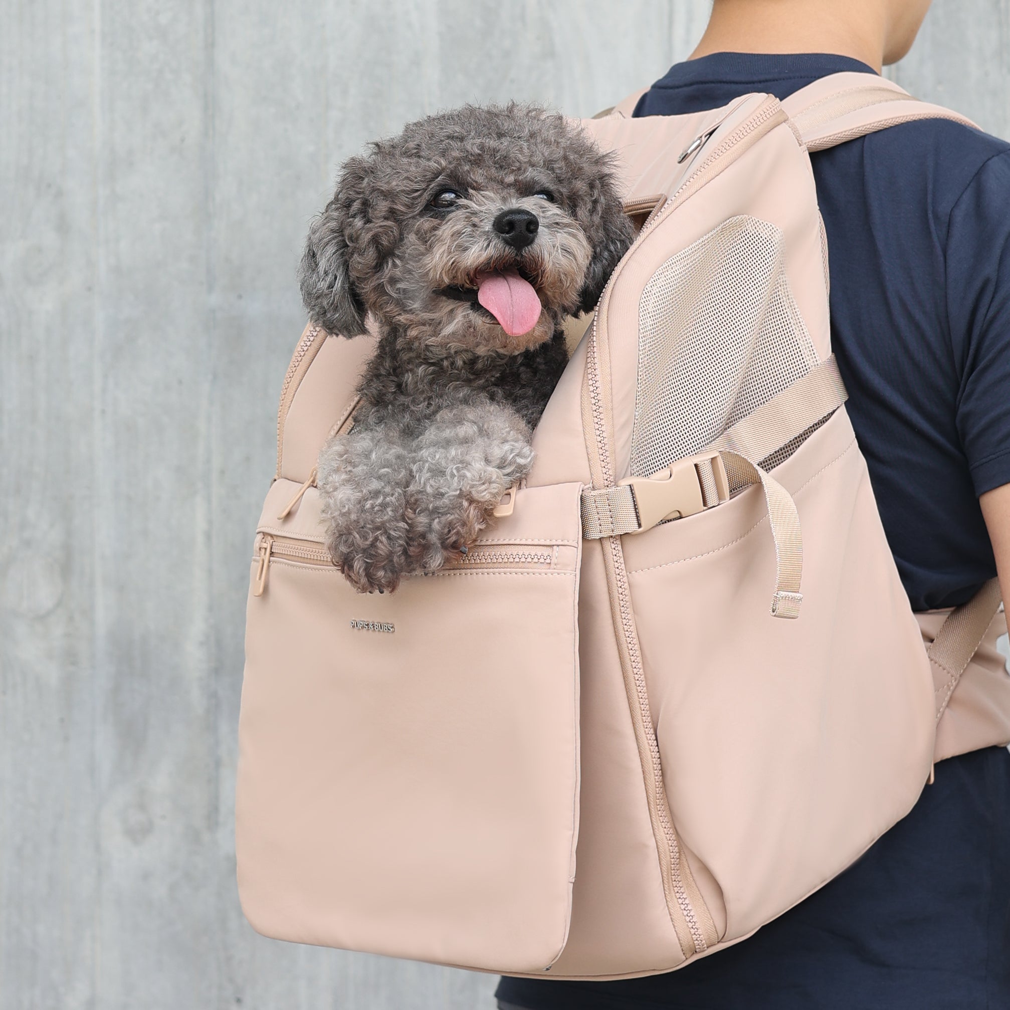 Everywhere Convertible Tote Bag Pet Carrier (Sand)