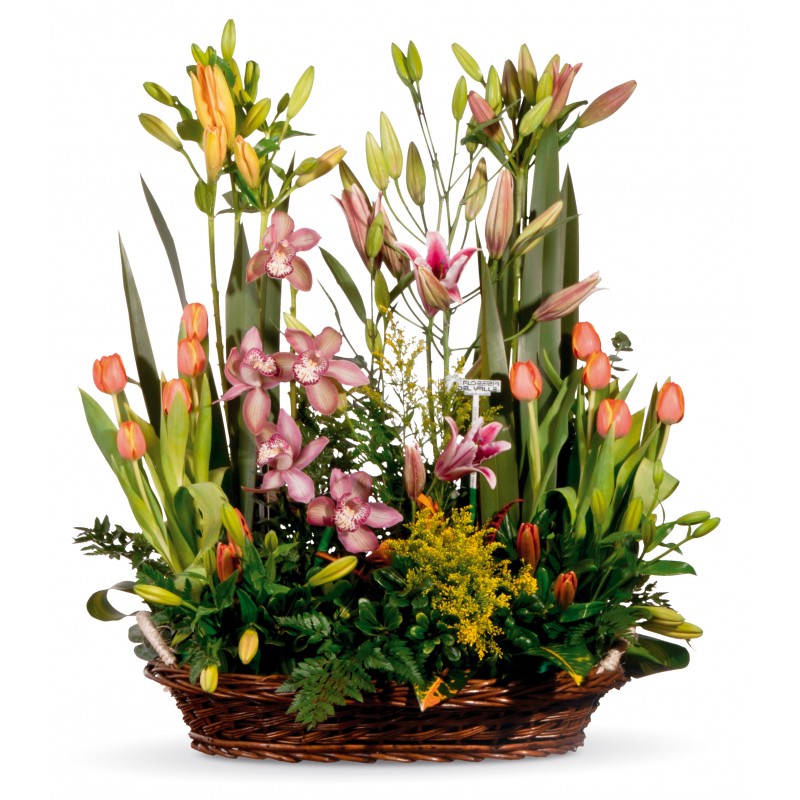 Canasta con Orquídeas, Tulipanes y Lilis – Floreria del Valle