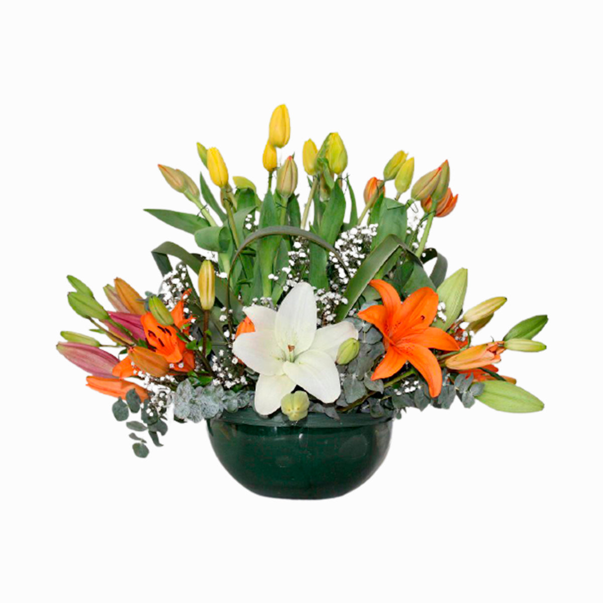 Bowl de Tulipanes y Lilis – Floreria del Valle