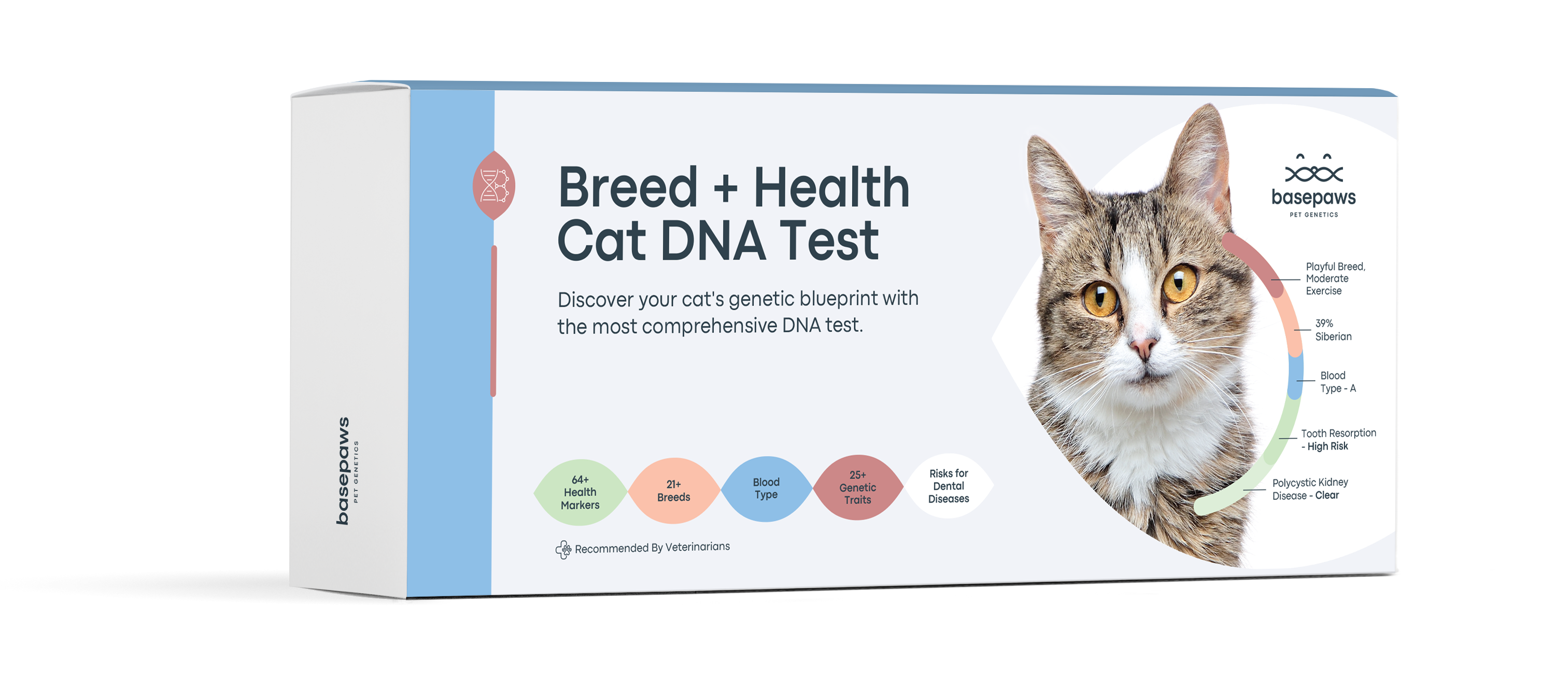 Cat DNA test from BasePaws