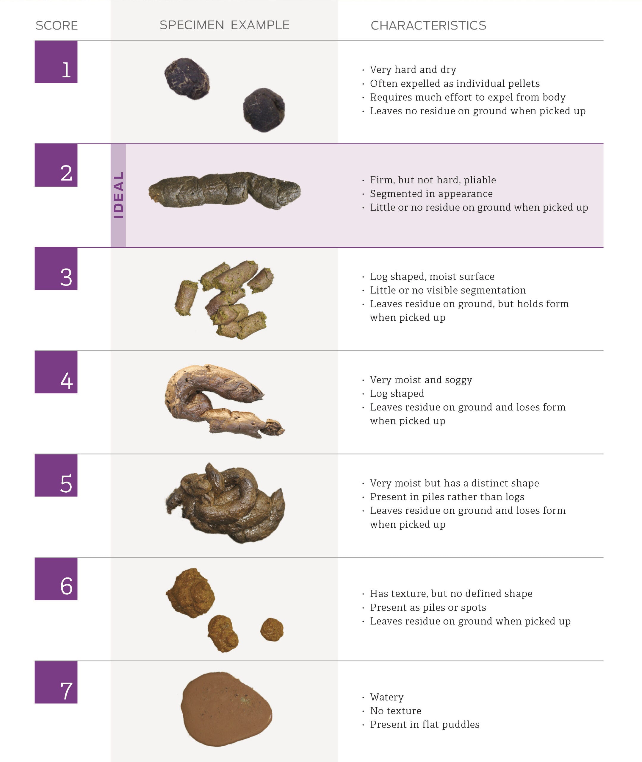 Fecal Scoring Guide from Purina ProPlan Veterinary Diets