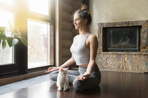 Woman meditating with white cat sitting by her on the floor. Plant and sunlight through window in background.