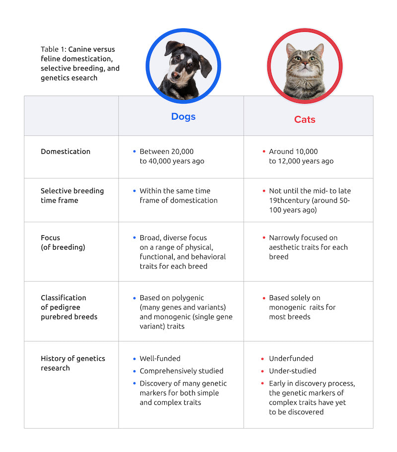 Canine versus feline domestication, selective breeding, and genetics research