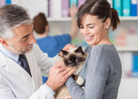 Woman holding Siamese cat while veterinarian examines.