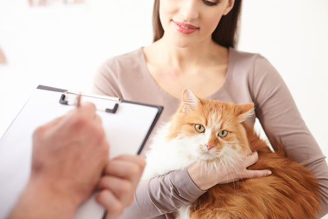 Woman holding cat in front of veterinarian.